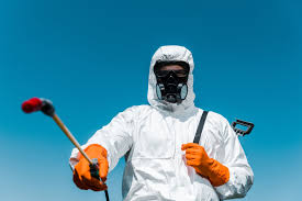 Best Fumigation Services  in Taylorsville, KY